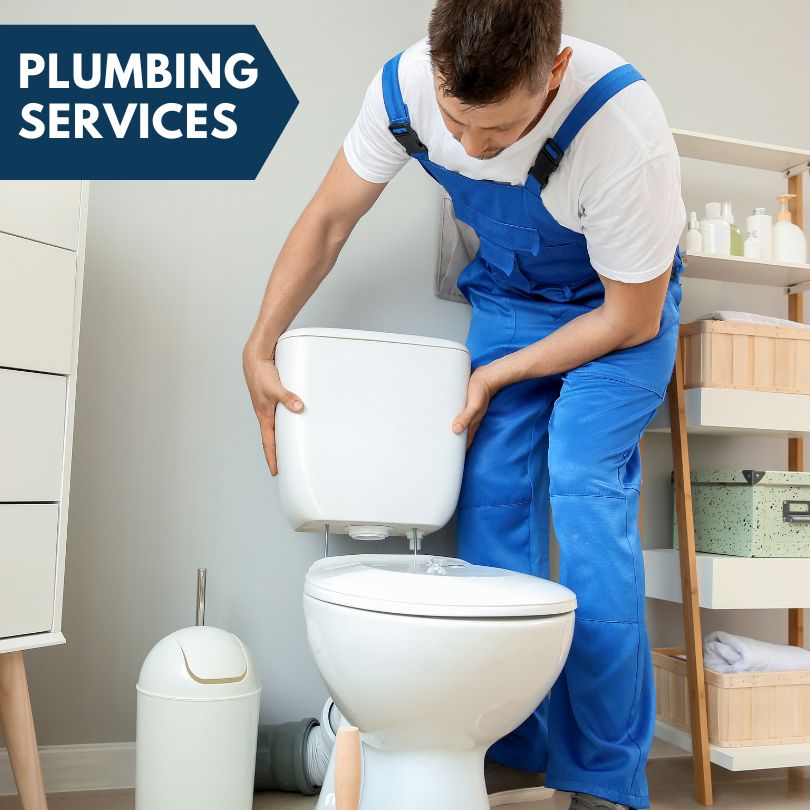 Plumbing Company in Wheat Ridge, CO